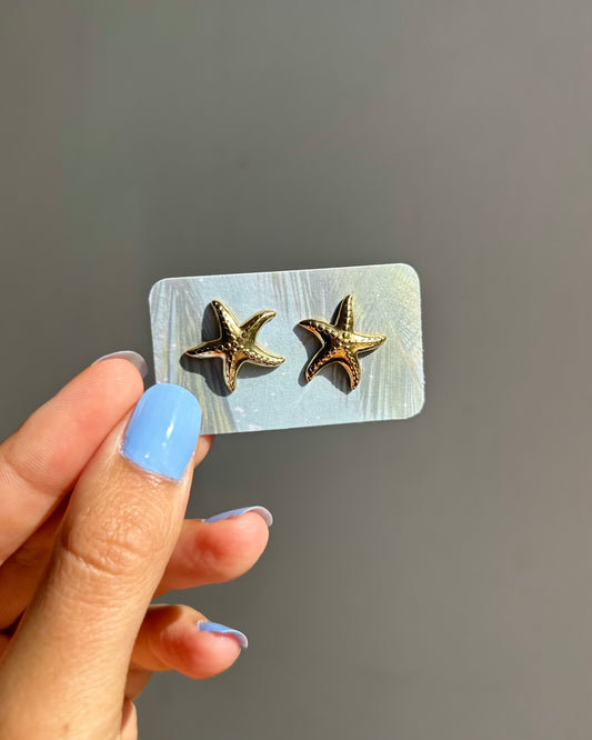 Puces d'oreilles - Etoile de mer (grand)