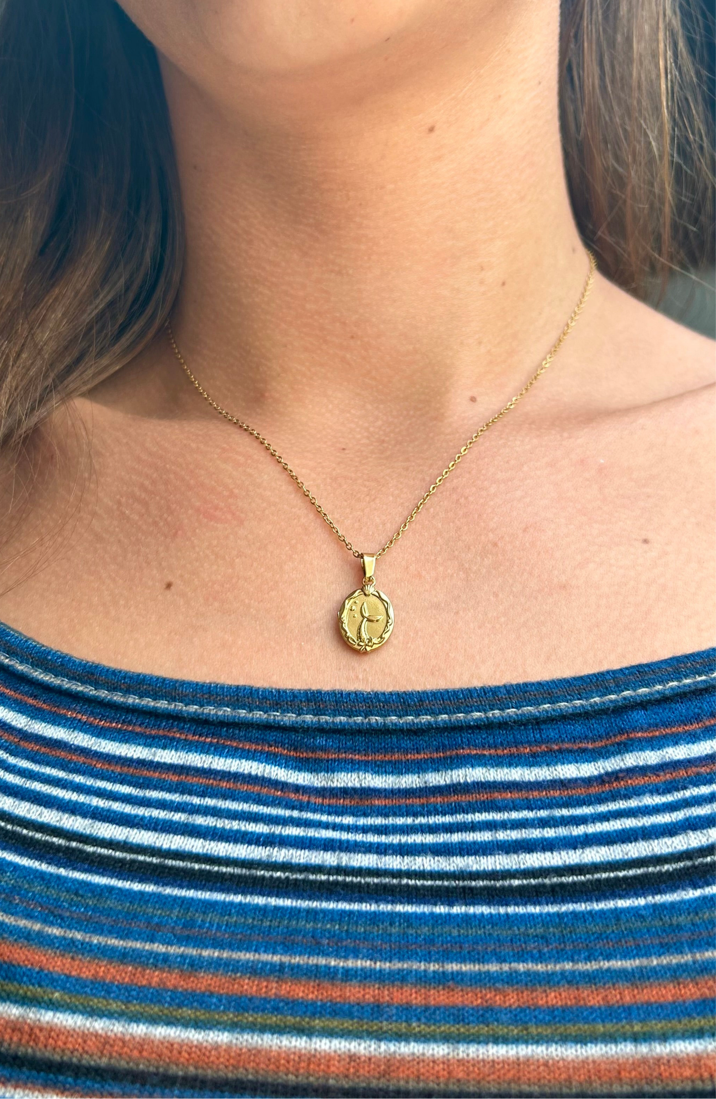 Collar de Ariel