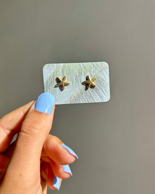 Puces d'oreilles - Etoile de mer (petit)