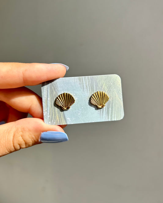 Puces d'oreilles - Coquillage