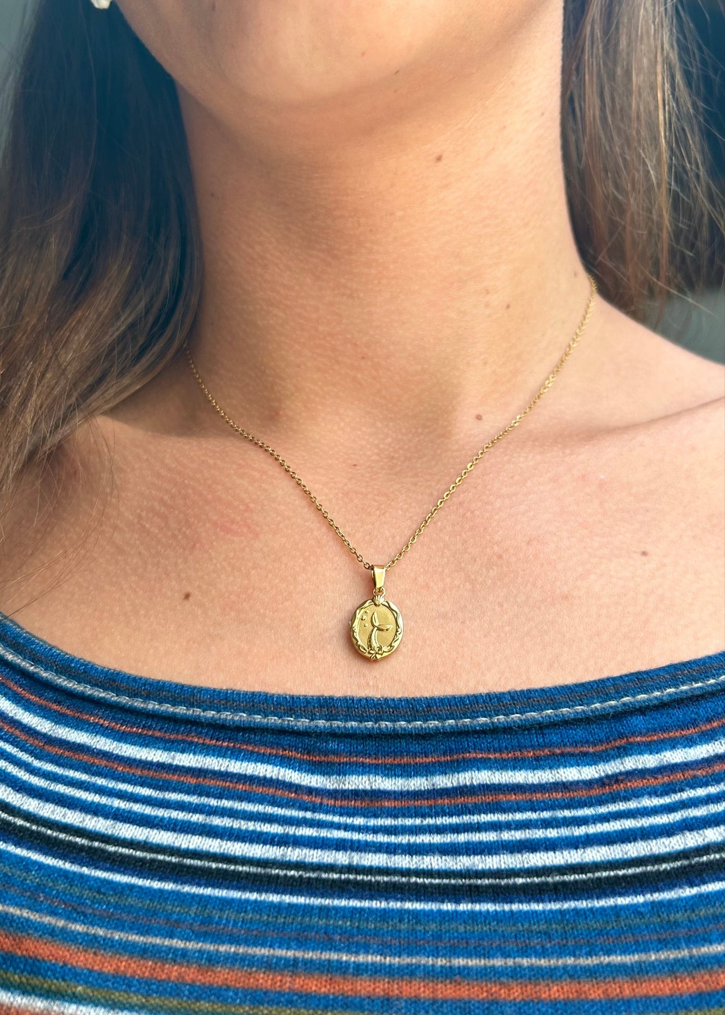 Collar de Ariel