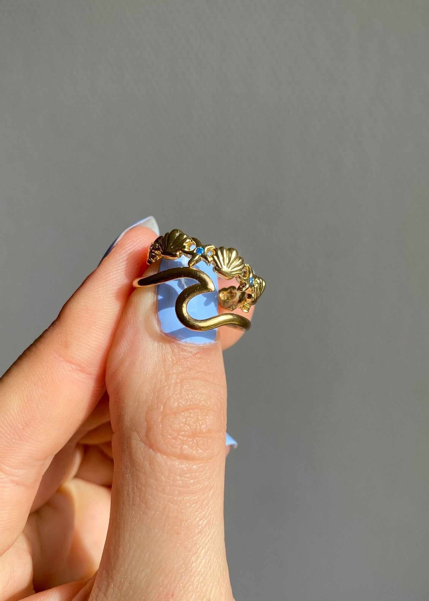 Anillo del océano