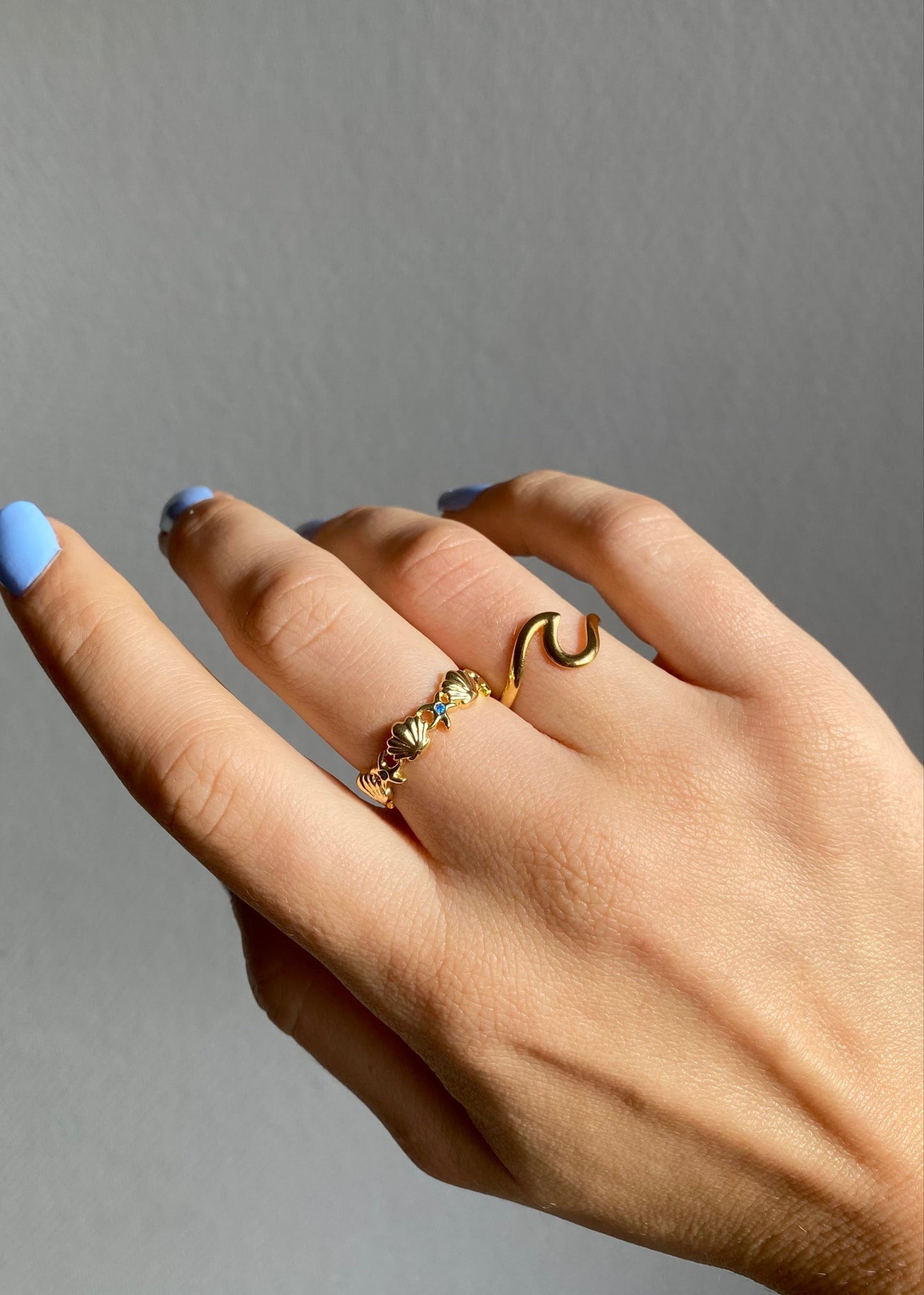 Anillo del océano