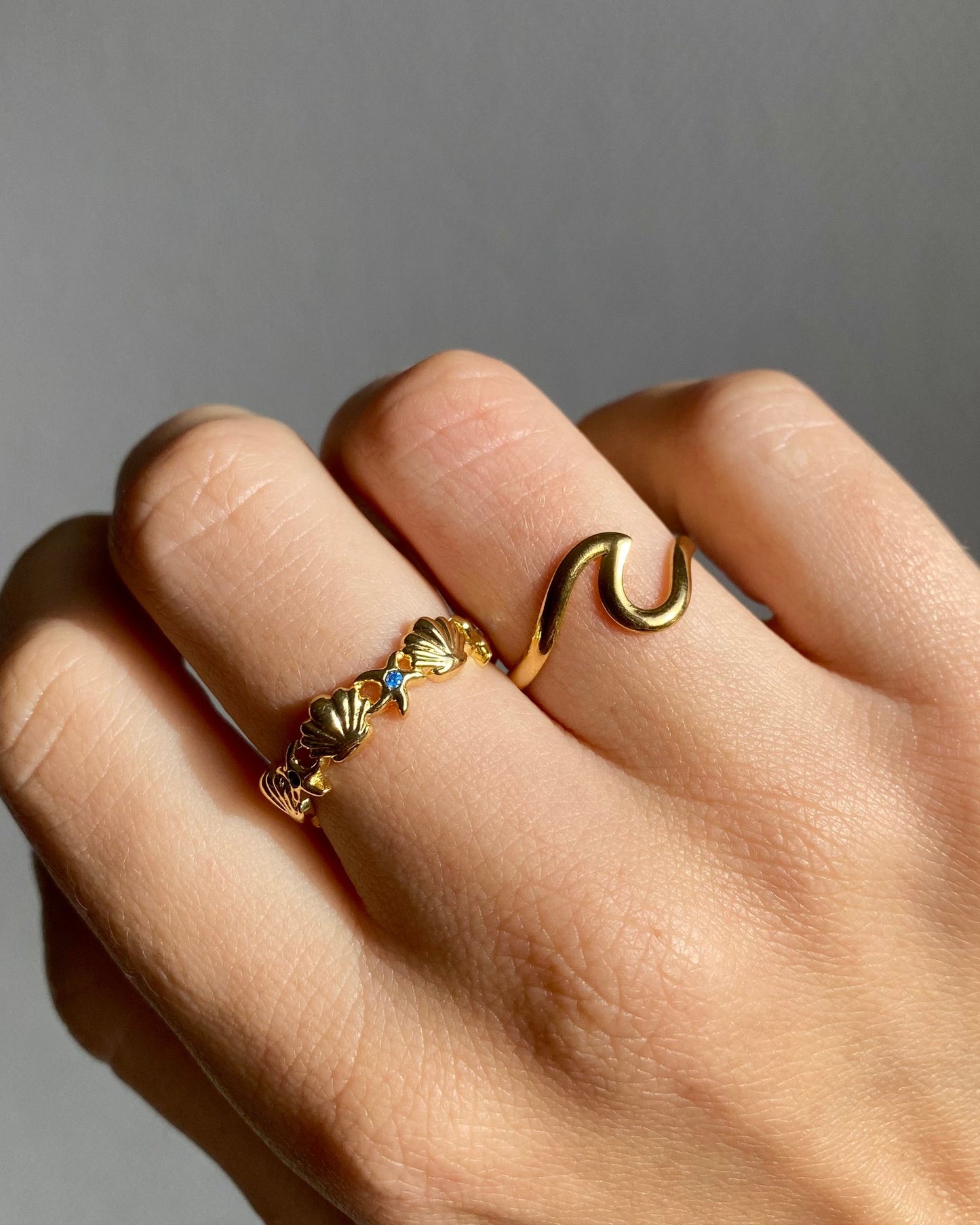 Anillo del océano
