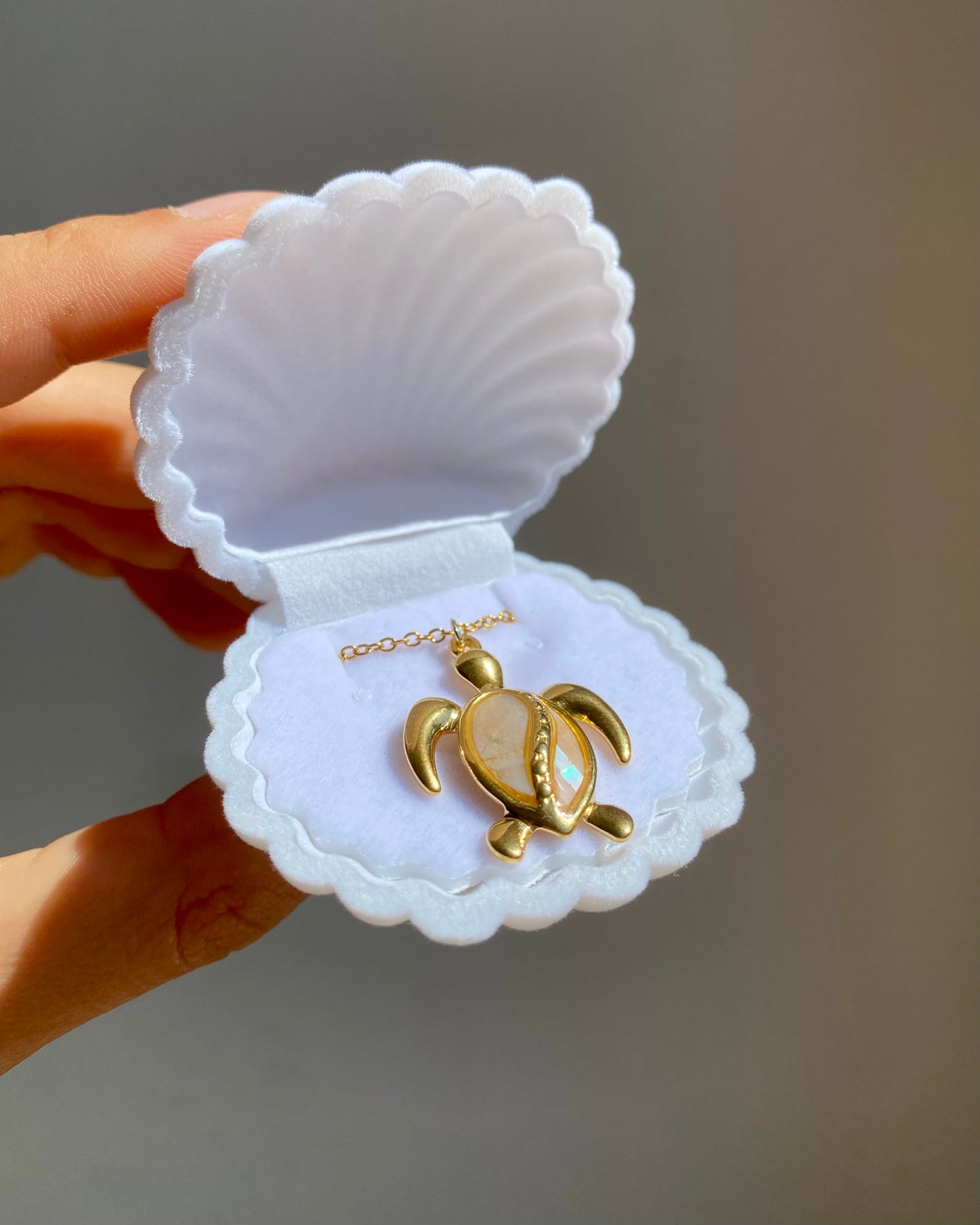 Boîte cadeau coquillage