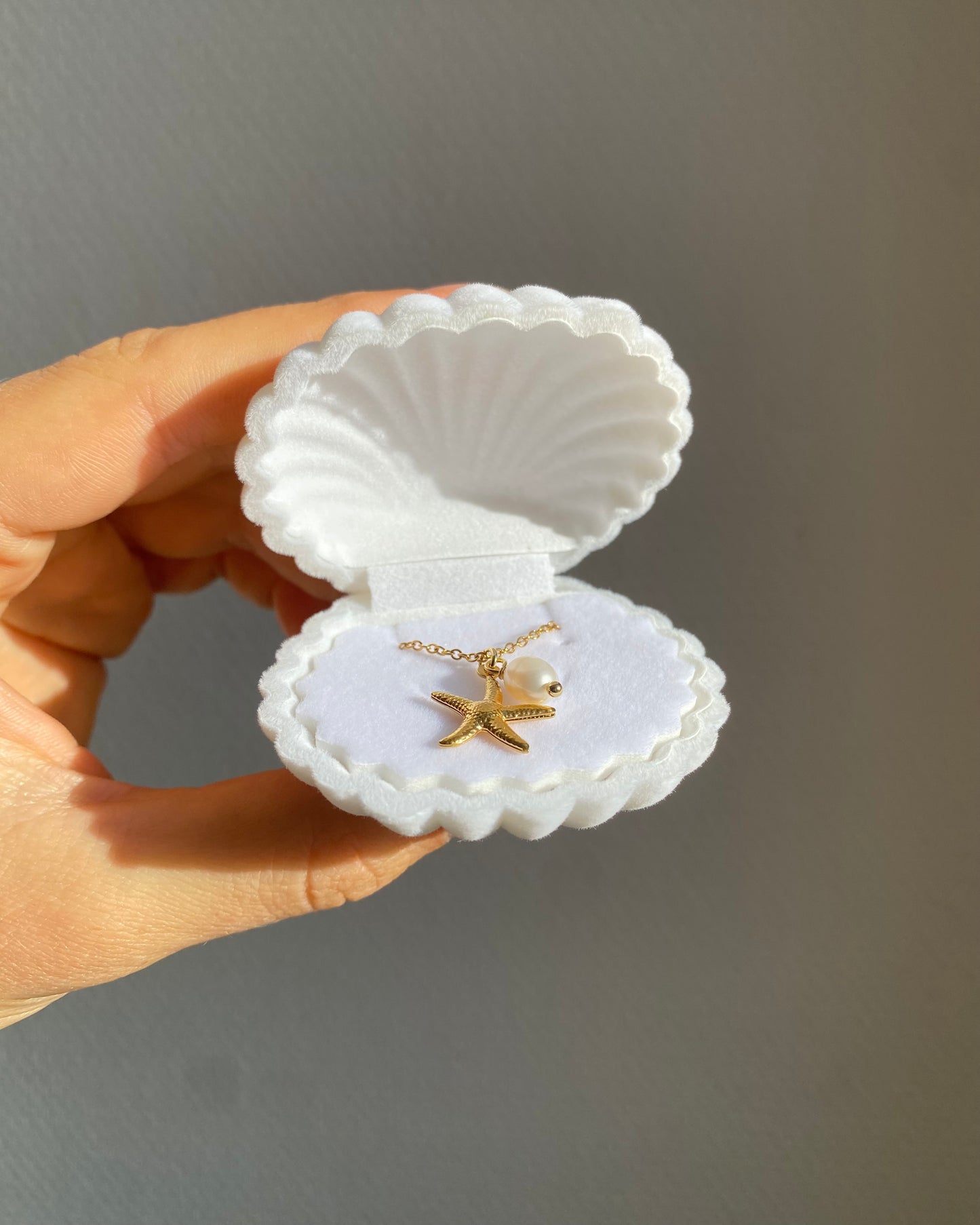 Boîte cadeau coquillage