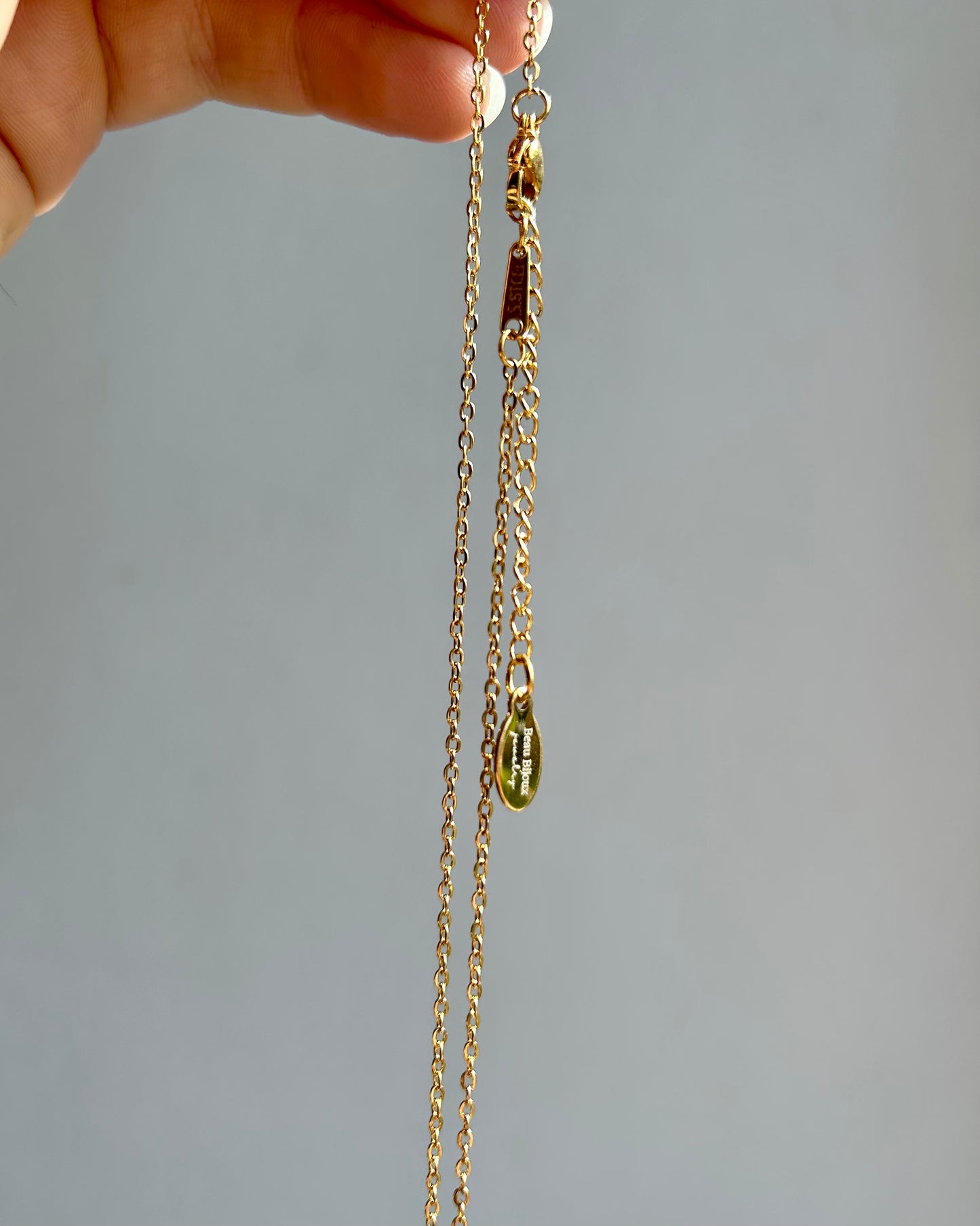 Collar de tortuga