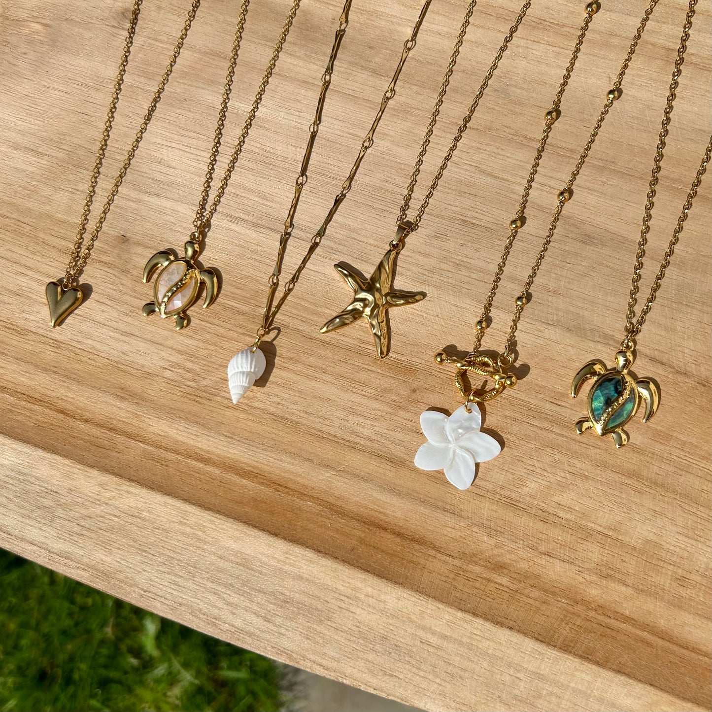 Collar de tortuga