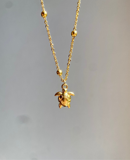 Collier Tortue