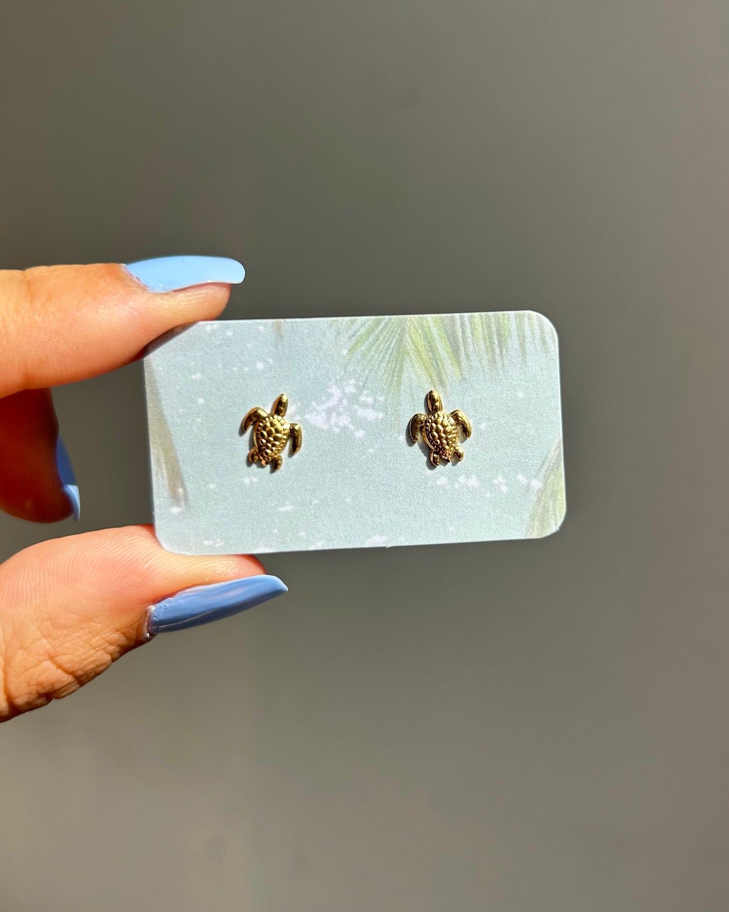 Puces d'oreilles - Tortues (petit)