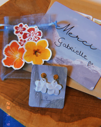 Boucles d'oreilles Vaiana