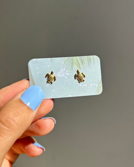 Puces d'oreilles - Tortues (petit)