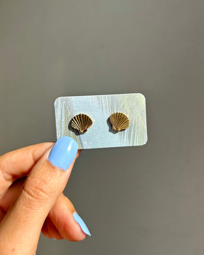 Puces d'oreilles - Coquillage