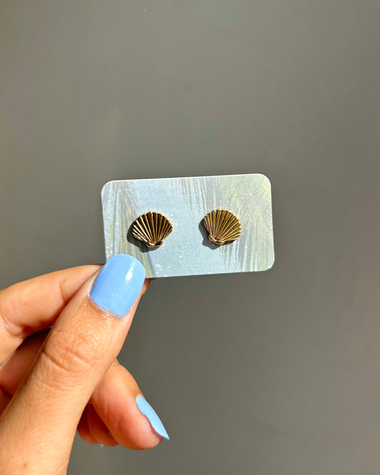 Puces d'oreilles - Coquillage