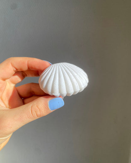 Shell-shaped gift box