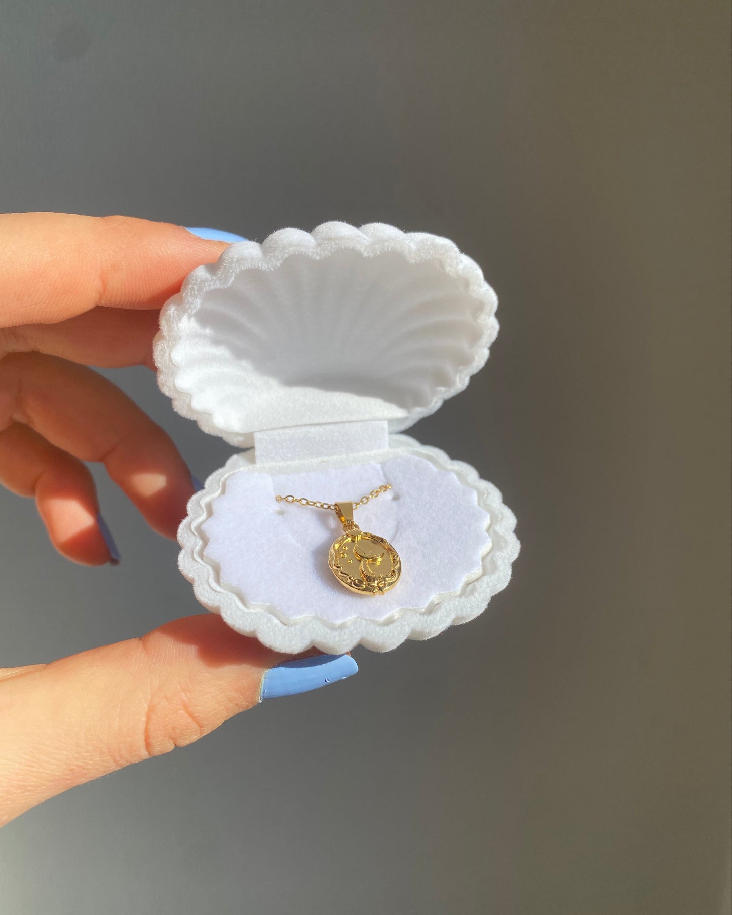 Shell-shaped gift box