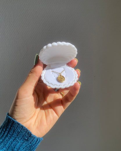 Shell-shaped gift box