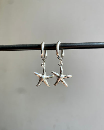 Pendientes de estrella de mar