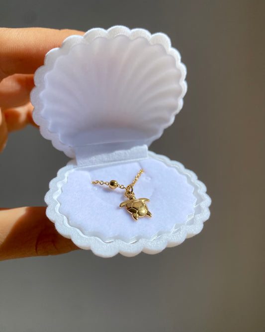 Collar de tortuga