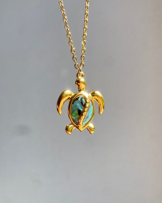 Collar de tortuga