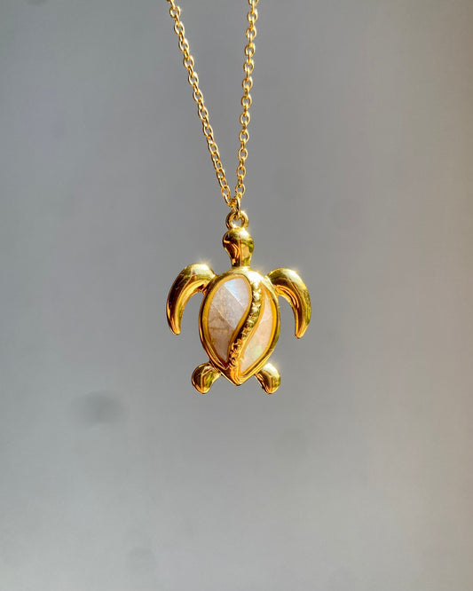 Collar de tortuga