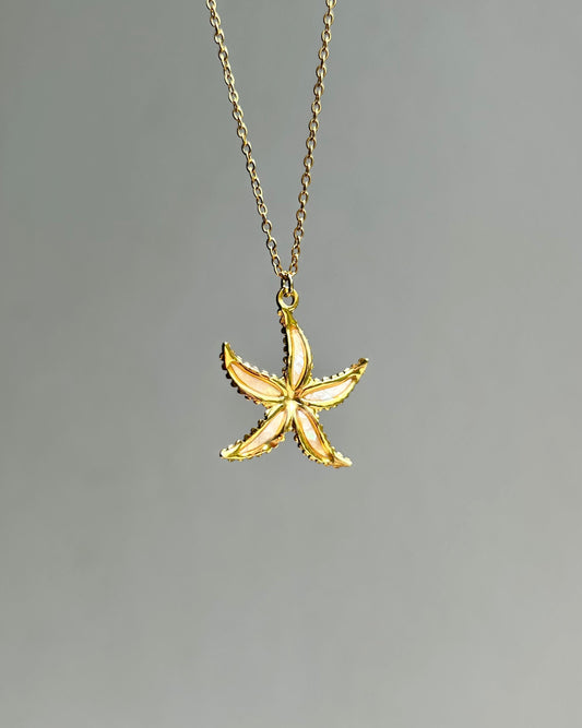 Collar de tortuga