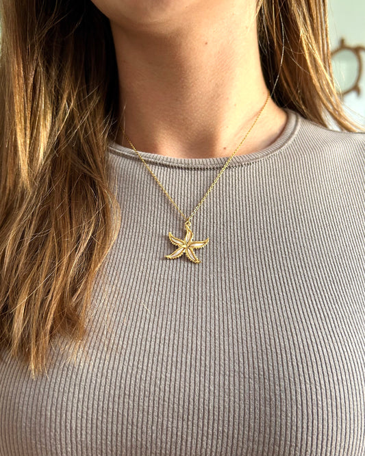 Collar de tortuga