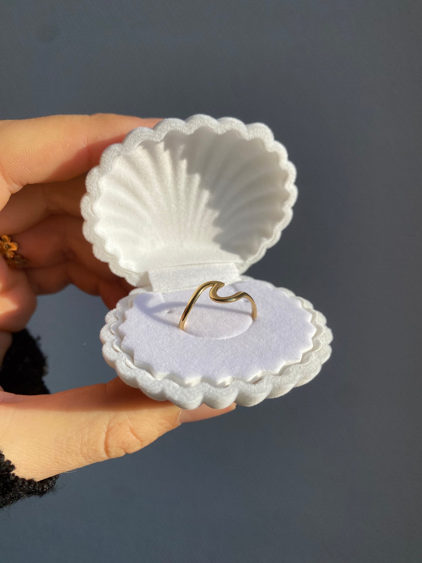 Shell-shaped gift box