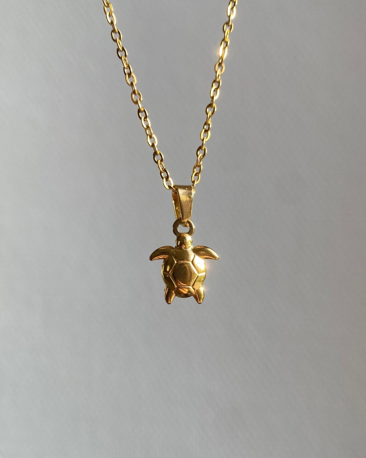 Schildpad ketting