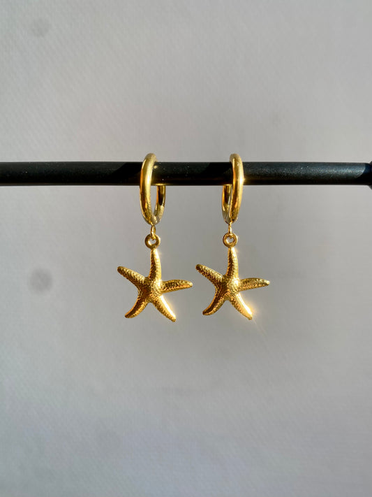 Boucles d'oreilles Etoile de mer