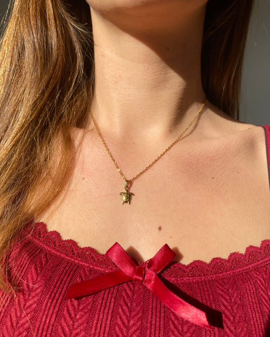 Schildpad ketting