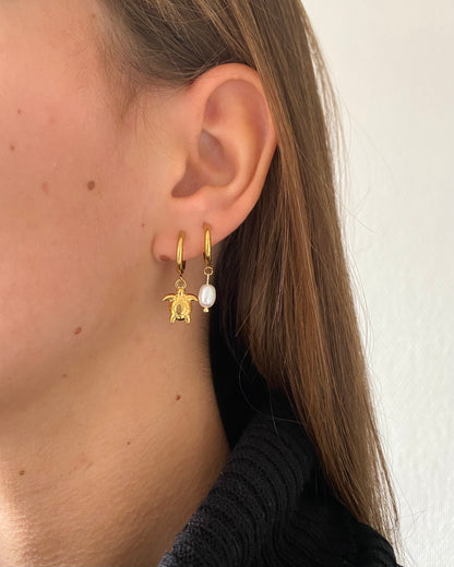 Turtle Earrings